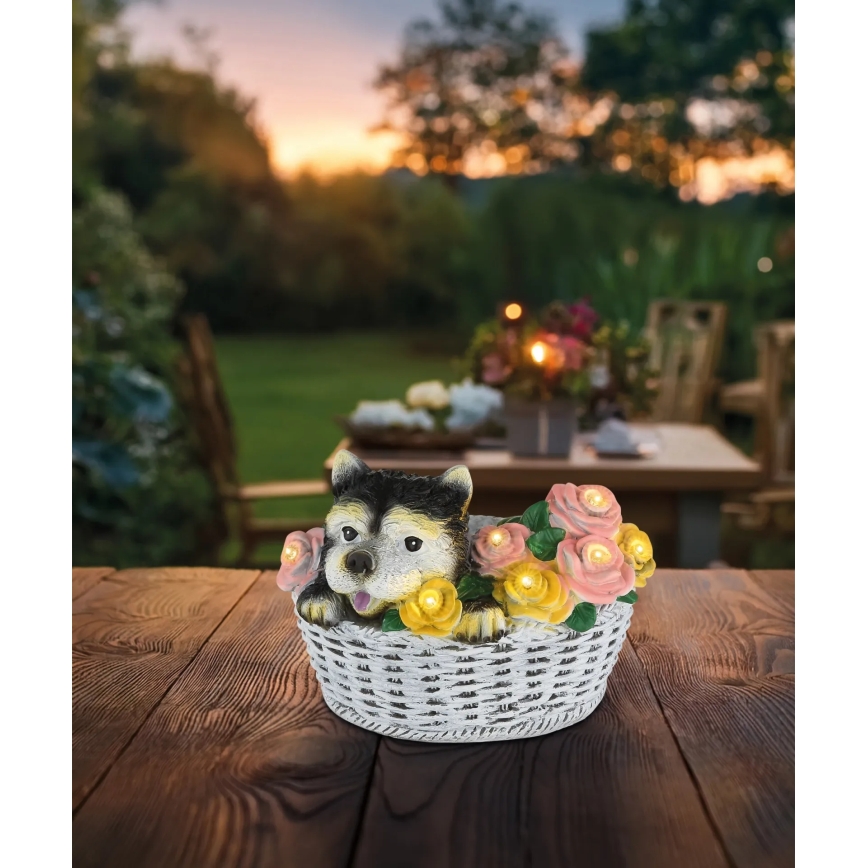 Globo - LED-Solarleuchte LED/1,2V IP44 300 mAh Hund