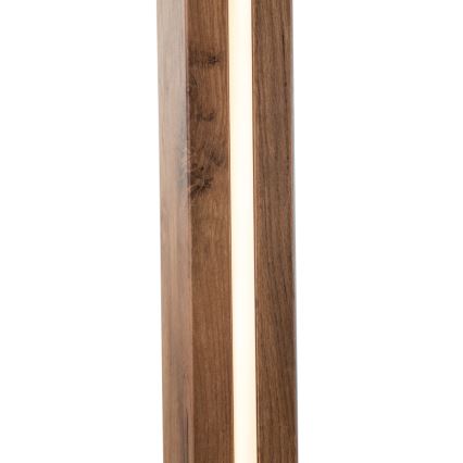 Globo - LED-Stehleuchte LED/17W/230V + 1xE27/40W