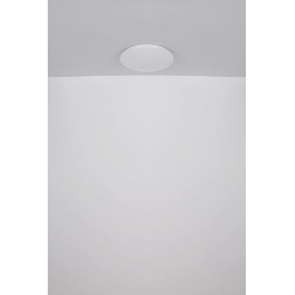 Globo - LED-Deckenleuchte LED/24W/230V d 49,5 cm weiß