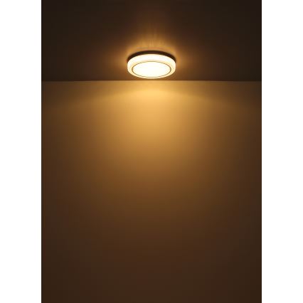 Globo - LED-Deckenleuchte LED/24W/230V d 40 cm 3000K weiß