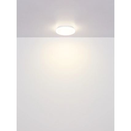Globo - LED-Deckenleuchte LED/8W/230V 4000K Ø 22 cm