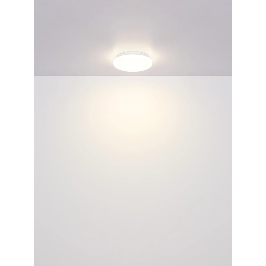 Globo - LED-Deckenleuchte LED/8W/230V 4000K Ø 22 cm