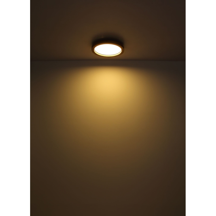 Globo - Dimmbare LED-RGBW-Deckenleuchte LED/24W/230V 2700-6000K + Fernbedienung