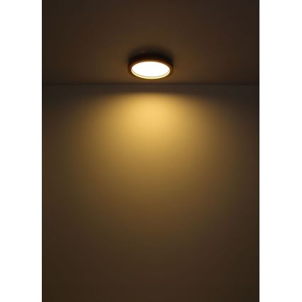 Globo - LED RGBW dimmbare Deckenleuchte LED/24W/230V 2700-6000K + Fernbedienung