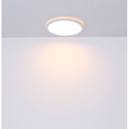 Globo - Dimmbare LED-Deckenleuchte für das Badezimmer LED/24W/230V d 42 cm IP44 weiß