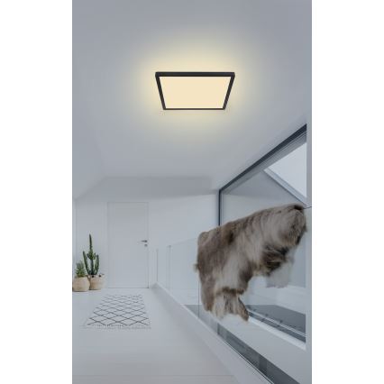 Globo - Dimmbare LED-Deckenleuchte für das Badezimmer LED/18W/230V 29,4x29,4 cm IP44 schwarz