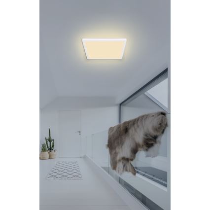 Globo - Dimmbare LED-Deckenleuchte für das Badezimmer LED/18W/230V 29,4x29,4 cm IP44 weiß