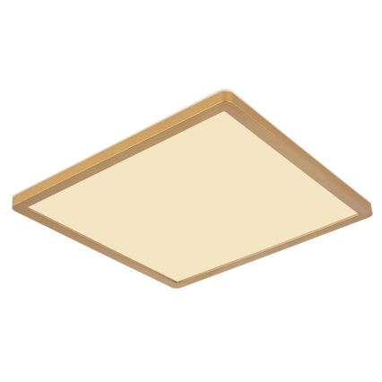 Globo - Dimmbare LED-Deckenleuchte für Badezimmer LED/24W/230V 3000K IP44 42x42 cm Messing