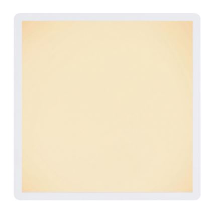 Globo - LED dimmbare Badezimmer-Deckenleuchte LED/24W/230V 42x42 cm IP44 weiß