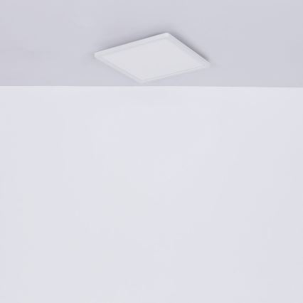 Globo - Dimmbare LED-Deckenleuchte für das Badezimmer LED/24W/230V 42x42 cm IP44 weiß