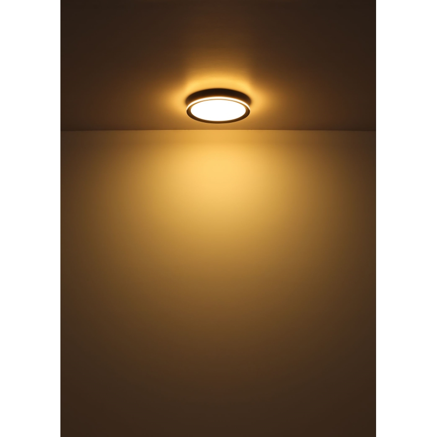 Globo - LED-Deckenleuchte LED/30W/230V d 30 cm