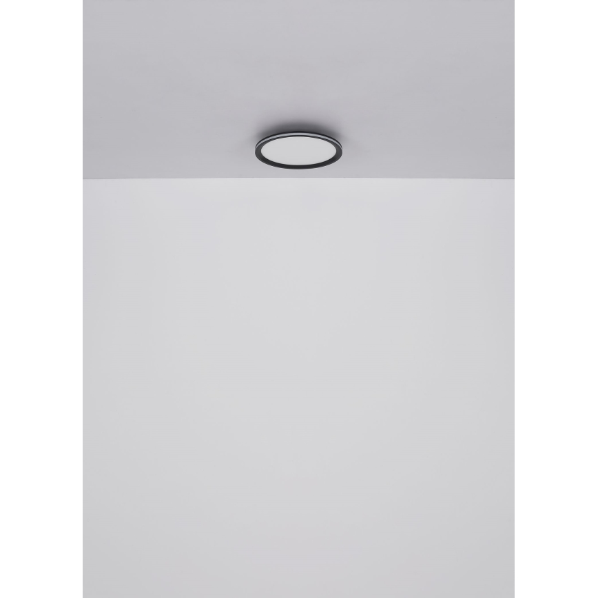 Globo - LED-Deckenleuchte LED/30W/230V d 30 cm