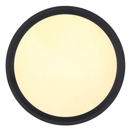 Globo - LED-Deckenleuchte LED/30W/230V d 30 cm