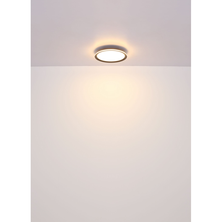 Globo - LED-Deckenleuchte LED/58W/230V d 50 cm
