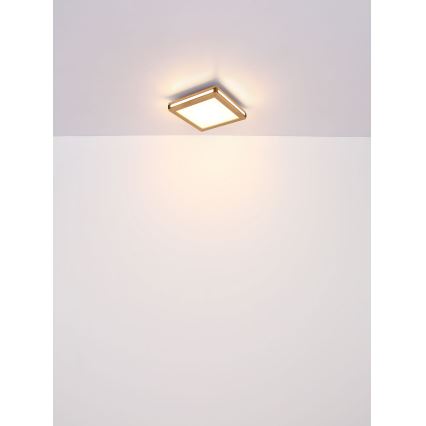 Globo - LED-Deckenleuchte LED/24W/230V 45x45 cm