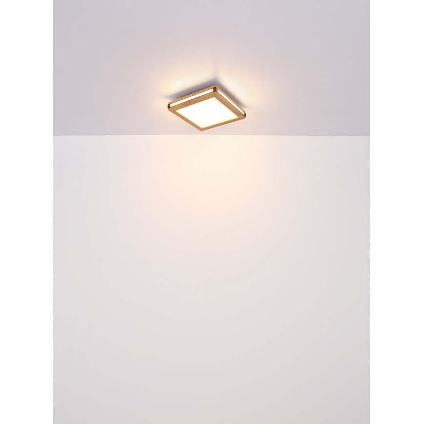 Globo - LED-Deckenleuchte LED/24W/230V 45x45 cm