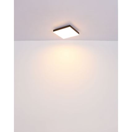 Globo - Dimmbare LED-Deckenleuchte LED/24W/230V 2700-6500K schwarz + Fernbedienung