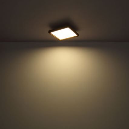 Globo - LED-Deckenleuchte LED/12W/230V 2700/4500/6500K 30x30 cm