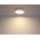 Globo - LED-Deckenleuchte für das Badezimmer 1xLED/12W/230V