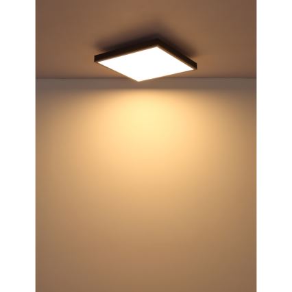 Globo - LED-Deckenleuchte LED/24W/230V 3000K 45x45 cm
