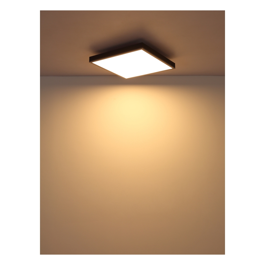 Globo - LED-Deckenleuchte LED/24W/230V 3000K 45x45 cm