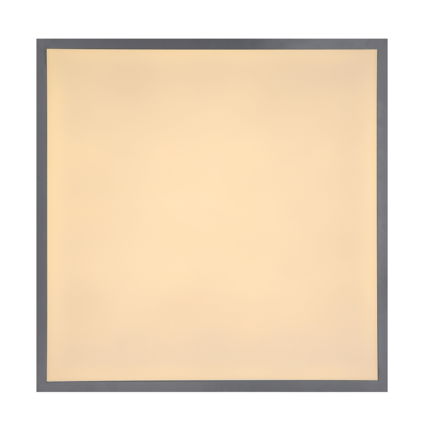 Globo - LED Deckenleuchte LED/24W/230V