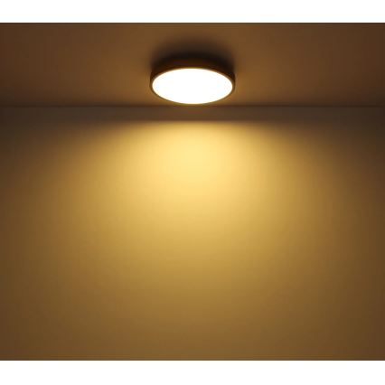 Globo - dimmbare LED-Deckenleuchte LED/24W/230V 2700-6500K Ø 45 cm