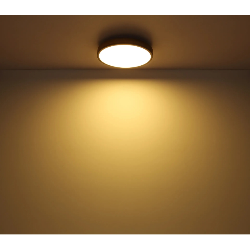Globo - dimmbare LED-Deckenleuchte LED/24W/230V 2700-6500K Ø 45 cm