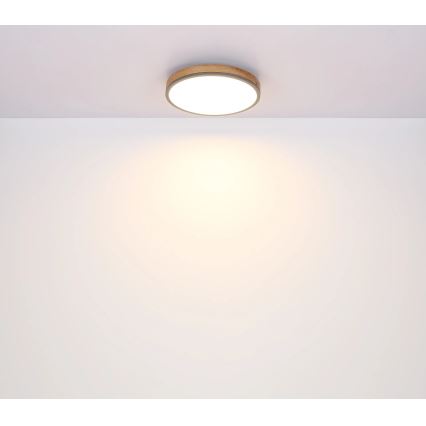 Globo - Dimmbare LED-Deckenleuchte LED/24W/230V 3000-6500K Ø 45 cm