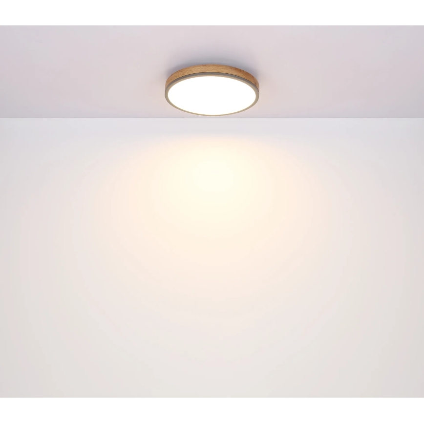 Globo - Dimmbare LED-Deckenleuchte LED/24W/230V 3000-6500K Ø 45 cm