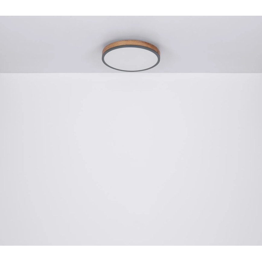 Globo - Dimmbare LED-Deckenleuchte LED/24W/230V 3000-6500K Ø 45 cm