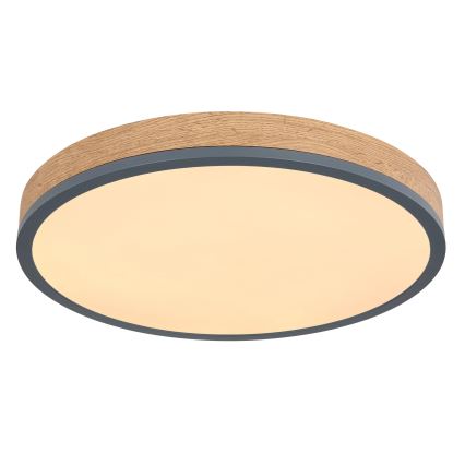 Globo - Dimmbare LED-Deckenleuchte LED/24W/230V 3000-6500K Ø 45 cm
