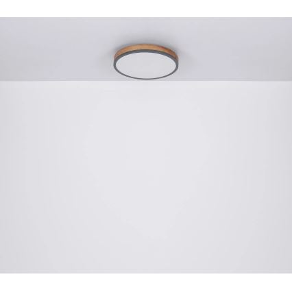 Globo - Dimmbare LED-Deckenleuchte LED/40W/230V 2700-6500K d 60 cm + Fernbedienung braun/grau