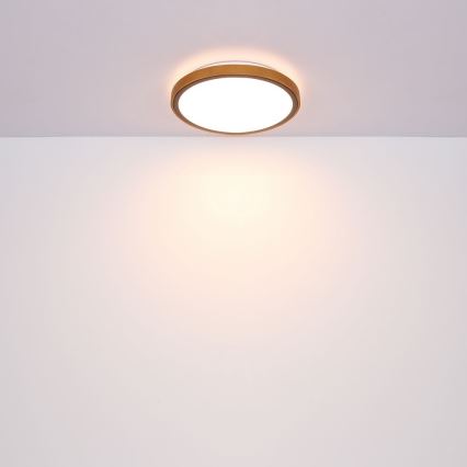 Globo - LED-Deckenleuchte LED/12W/230V 307 mm 3000/4500/6000K