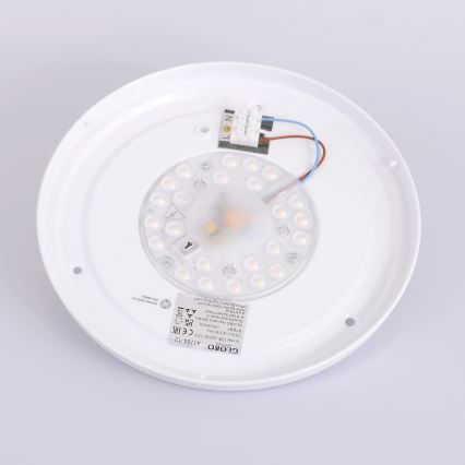 Globo - LED Deckenleuchte LED/12W/230V 307 mm 3000/4500/6000K