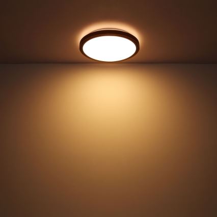 Globo - LED-Deckenleuchte LED/24W/230V 3000/4500/6000K d 43,7 cm