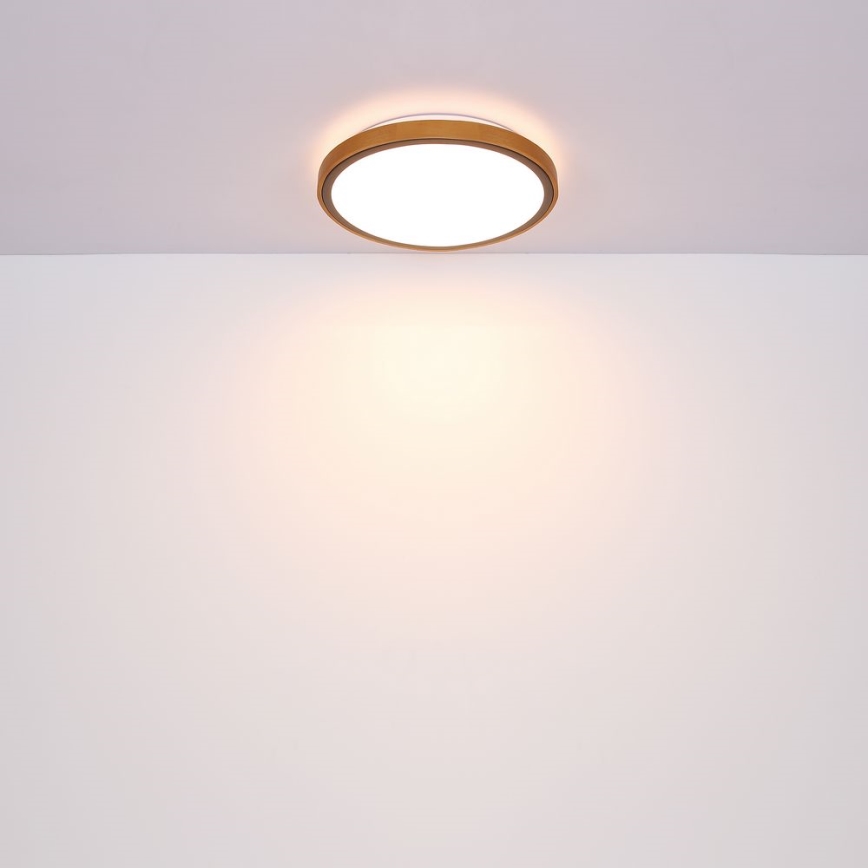 Globo - LED-Deckenleuchte LED/24W/230V 3000/4500/6000K d 43,7 cm