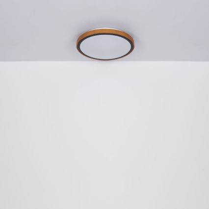 Globo - LED-Deckenleuchte LED/24W/230V 3000/4500/6000K d 43,7 cm