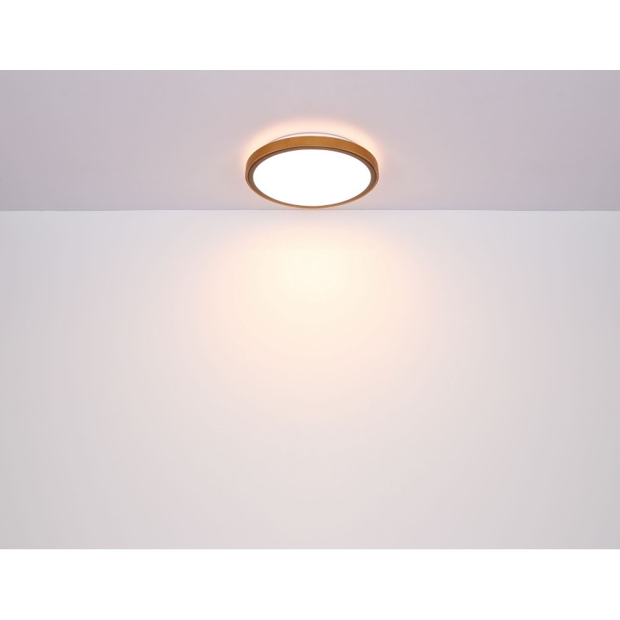 Globo - LED-Deckenleuchte LED/12W/230V 3000/4500/6000K d 30 cm