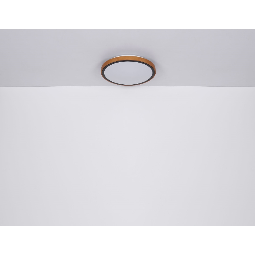 Globo - LED-Deckenleuchte LED/12W/230V 3000/4500/6000K d 30 cm