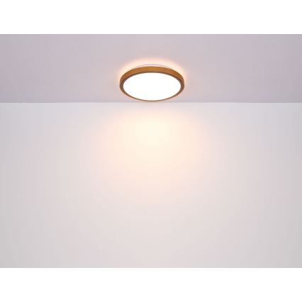 Globo - LED-Deckenleuchte LED/24W/230V 3000/4500/6000K d 42 cm