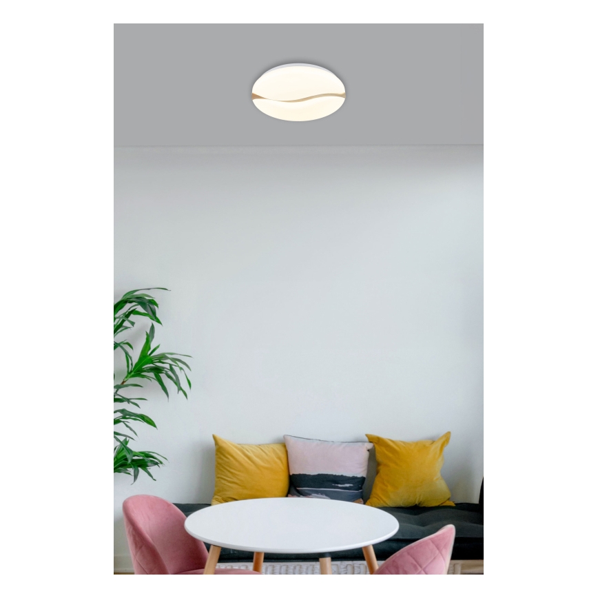 Globo - LED Deckenleuchte LED/24W/230V 3000/4200/6000K Ø 33 cm