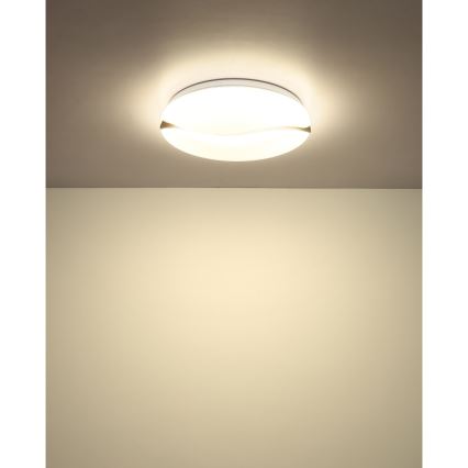 Globo - LED Deckenleuchte LED/24W/230V 3000/4200/6000K Ø 33 cm