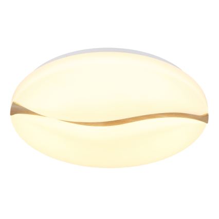 Globo - LED Deckenleuchte LED/24W/230V 3000/4200/6000K Ø 33 cm