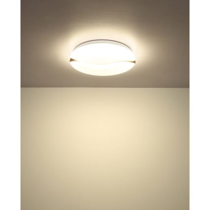 Globo - LED Deckenleuchte LED/24W/230V 3000/4200/6000K Ø 39 cm