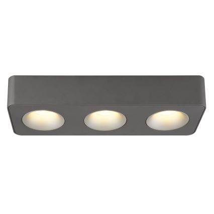 Globo - LED-Deckenleuchte LED/14W/230V 11,7x33,2 cm