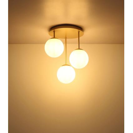 Globo - Aufgesetzte Deckenleuchte 3xE14/25W/230V Messing