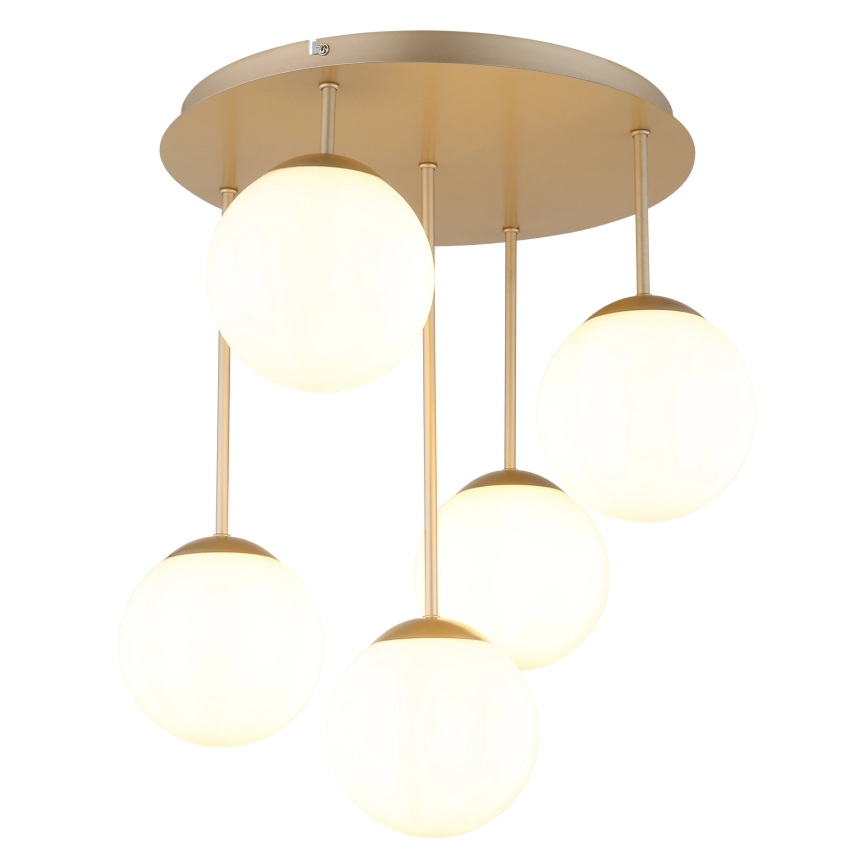 Globo - Aufgesetzte Deckenleuchte 5xE14/25W/230V Messing
