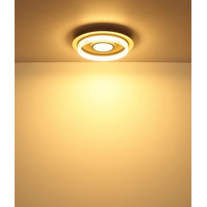 Globo - LED-Deckenleuchte LED/24W/230V 3000K Ø 40 cm