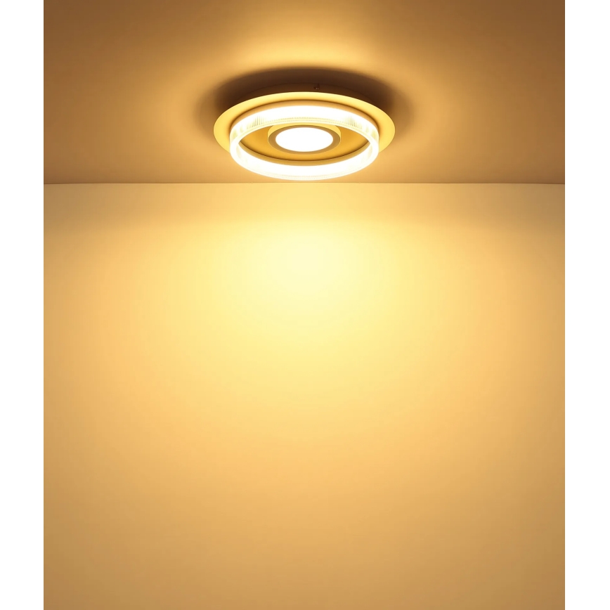 Globo - LED-Deckenleuchte LED/24W/230V 3000K Ø 40 cm